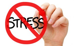 7 советов, как справиться со стрессом перед экзаменами и извлечь из него пользу