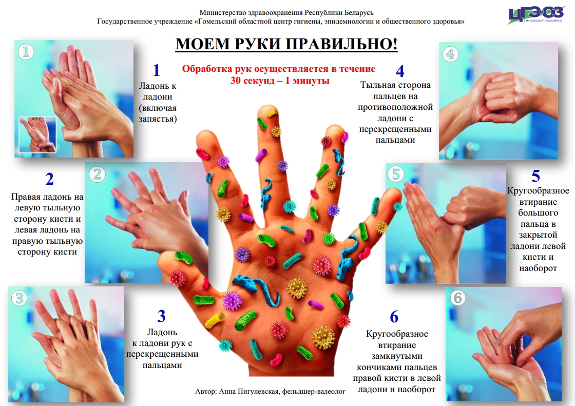 Моем руки правильно!